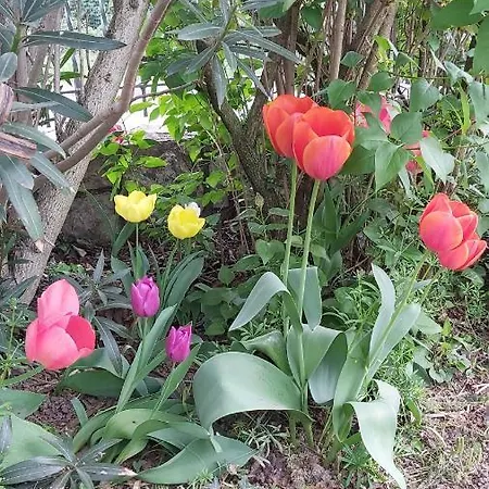 Corte Martinola In Franciacorta 3*